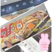 ヒメ日記 2025/11/18 13:50 投稿 そら 石庭