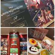 ヒメ日記 2025/11/19 10:30 投稿 そら 石庭