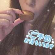 ヒメ日記 2025/11/22 10:33 投稿 そら 石庭