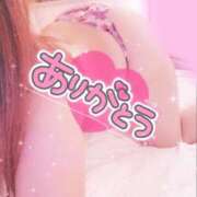 ヒメ日記 2025/11/23 06:20 投稿 そら 石庭