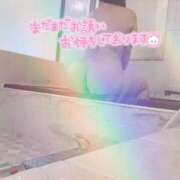 ヒメ日記 2025/11/23 21:20 投稿 そら 石庭