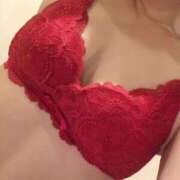 ヒメ日記 2025/11/24 06:40 投稿 そら 石庭