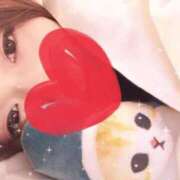 ヒメ日記 2025/11/25 09:20 投稿 そら 石庭