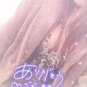 ヒメ日記 2025/11/26 06:20 投稿 そら 石庭