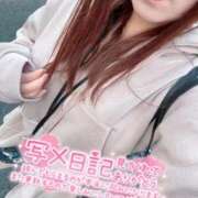 ヒメ日記 2025/11/26 08:50 投稿 そら 石庭