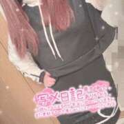 ヒメ日記 2025/11/27 06:20 投稿 そら 石庭