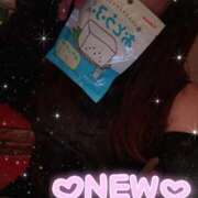 ヒメ日記 2025/11/27 12:50 投稿 そら 石庭