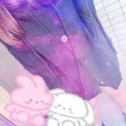 ヒメ日記 2025/11/28 08:20 投稿 そら 石庭