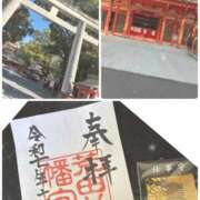 ヒメ日記 2025/11/29 13:20 投稿 そら 石庭