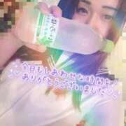 ヒメ日記 2025/11/30 06:40 投稿 そら 石庭