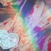 ヒメ日記 2025/12/03 15:20 投稿 そら 石庭