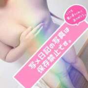 ヒメ日記 2025/12/06 16:39 投稿 そら 石庭