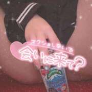 ヒメ日記 2025/12/07 10:20 投稿 そら 石庭