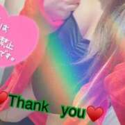 ヒメ日記 2025/12/07 13:10 投稿 そら 石庭