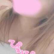 ヒメ日記 2025/12/15 08:37 投稿 そら 石庭