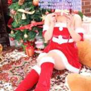 ヒメ日記 2025/12/15 10:20 投稿 そら 石庭