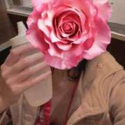 ヒメ日記 2025/11/27 08:57 投稿 よる 三つ乱本館