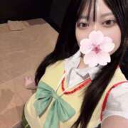 さくら 水戸ふつかめ！ ドリーム水戸