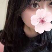 さくら 水戸！いきます！ ドリーム水戸