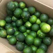 ヒメ日記 2025/11/14 09:24 投稿 美原咲子☆現役単体女優☆ Honey