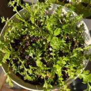 ヒメ日記 2025/11/19 09:44 投稿 美原咲子☆現役単体女優☆ Honey