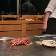 美原咲子☆現役単体女優☆ 伊勢エビ Honey