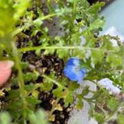 ヒメ日記 2026/01/16 13:54 投稿 美原咲子☆現役単体女優☆ Honey