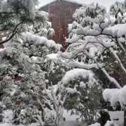 ヒメ日記 2026/02/08 12:14 投稿 美原咲子☆現役単体女優☆ Honey