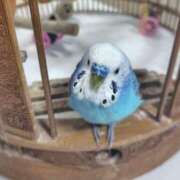 ヒメ日記 2026/02/16 12:14 投稿 美原咲子☆現役単体女優☆ Honey