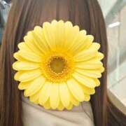 ヒメ日記 2025/12/02 00:37 投稿 ふみな ハピネス東京