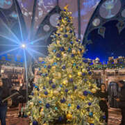 ヒメ日記 2025/12/20 19:27 投稿 ふみな ハピネス東京