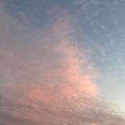 ヒメ日記 2025/11/08 16:14 投稿 藤野　かな Eureka！EGOIST～エゴイスト～-美とエロスの饗宴