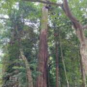 ヒメ日記 2025/11/13 00:56 投稿 藤野　かな Eureka！EGOIST～エゴイスト～-美とエロスの饗宴