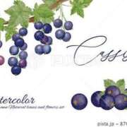 ヒメ日記 2025/11/22 01:09 投稿 藤野　かな Eureka！EGOIST～エゴイスト～-美とエロスの饗宴