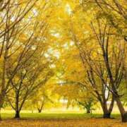 ヒメ日記 2025/11/22 12:34 投稿 藤野　かな Eureka！EGOIST～エゴイスト～-美とエロスの饗宴