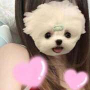 ヒメ日記 2025/10/18 20:24 投稿 みらい マリンマリン