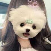 ヒメ日記 2025/10/21 08:34 投稿 みらい マリンマリン