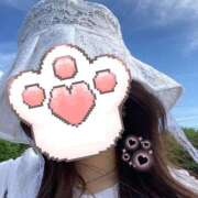 ヒメ日記 2025/10/24 07:54 投稿 みらい マリンマリン