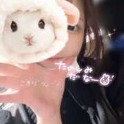 こまり 𐔌ˆ꜆  ̝  ̣ˆ𐦯✩·̩͙出会いの季節♡ 錦糸町クリニック マイクロビキニ編