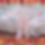 ヒメ日記 2026/01/28 19:45 投稿 るあ 錦糸町クリニック マイクロビキニ編