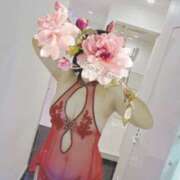 ヒメ日記 2026/04/16 19:24 投稿 あおい 錦糸町クリニック マイクロビキニ編