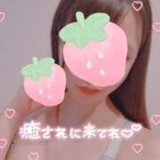 ヒメ日記 2026/02/10 13:00 投稿 かほ 錦糸町クリニック マイクロビキニ編