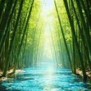 ヒメ日記 2025/11/21 17:09 投稿 藤野　かな 魅惑の官能アロマエステ　Eureka！八王子 ～エウレカ！～