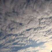 ヒメ日記 2026/01/30 18:44 投稿 藤野　かな 魅惑の官能アロマエステ　Eureka！八王子 ～エウレカ！～