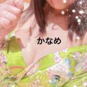 ヒメ日記 2026/02/02 01:21 投稿 かなめ 錦糸町クリニック マイクロビキニ編