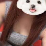 ヒメ日記 2025/11/29 17:20 投稿 ななみ サンキュー福岡店