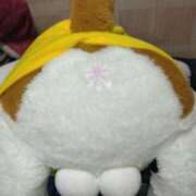 ヒメ日記 2025/10/31 22:17 投稿 湯島 熟女の風俗最終章　鶯谷店