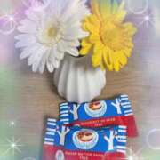 ヒメ日記 2025/12/04 23:27 投稿 ちこ 熟女家 梅田店