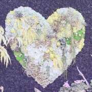 ヒメ日記 2026/03/03 20:18 投稿 丸世 渋谷人妻城