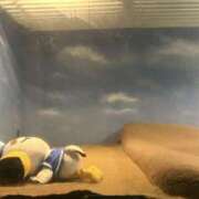 ヒメ日記 2025/10/19 18:09 投稿 ゆづき 秋葉原ハンドメイド